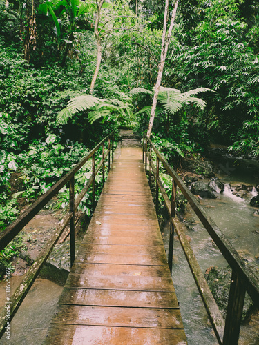 Wooden bridge leading over a river in a tropical rainforest