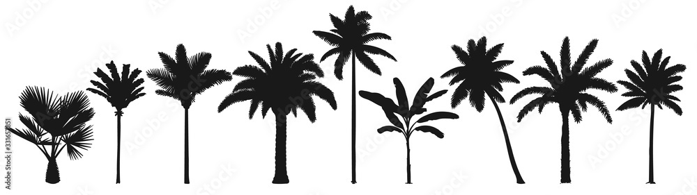 Palm trees silhouette. Retro coconut trees, hand drawn tropical palm silhouettes vector set. Illustration palm tree botany, green tropical plants - obrazy, fototapety, plakaty 