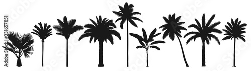 Palm trees silhouette. Retro coconut trees, hand drawn tropical palm silhouettes vector set. Illustration palm tree botany, green tropical plants