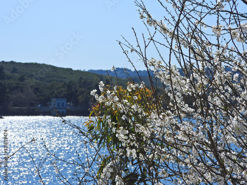 Beautiful dam of Marathon or Marathonas an artificial water reservoir of Athens, Attica, Greece photo