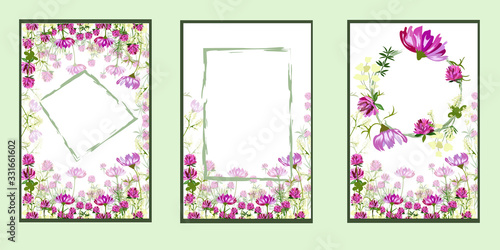 cocmos and clover for postcards or backgrounds