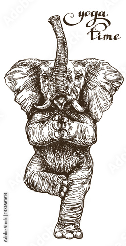 Elephant meditates standing on one leg lotus pose time yoga style engraving sketch vector