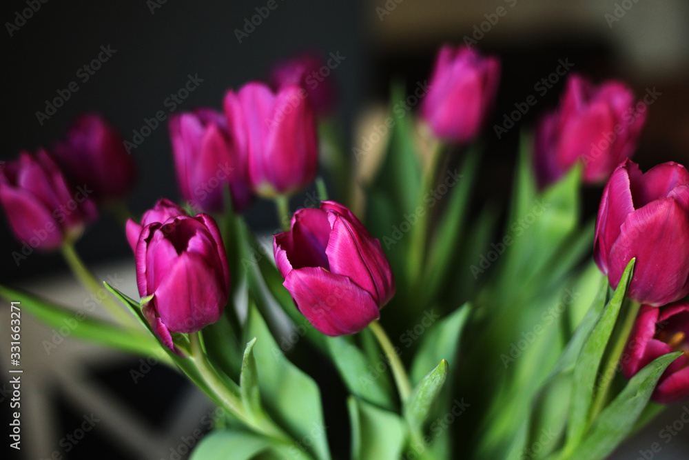 beautiful Purple Tulip flowers on the table in the kitchen. Greeting card. selective focus