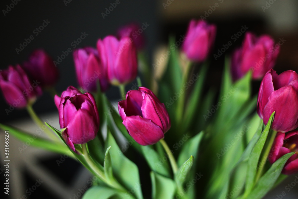 beautiful Purple Tulip flowers on the table in the kitchen. Greeting card. selective focus beautiful Purple Tulip flowers on the table in the kitchen. Greeting card. selective focus