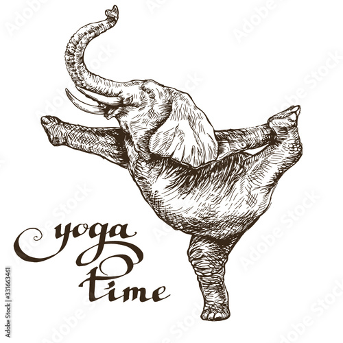 Elephant meditates stands on one leg words time yoga style engraving sketch vector