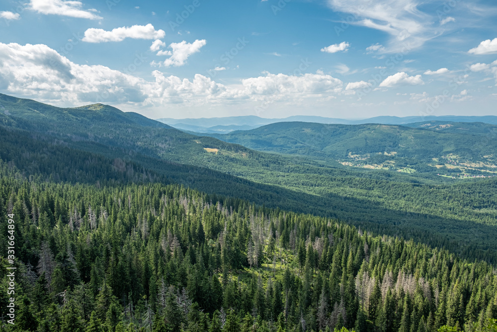 A view over mountain spruce forests, hills and valleys in the Sudety mountains