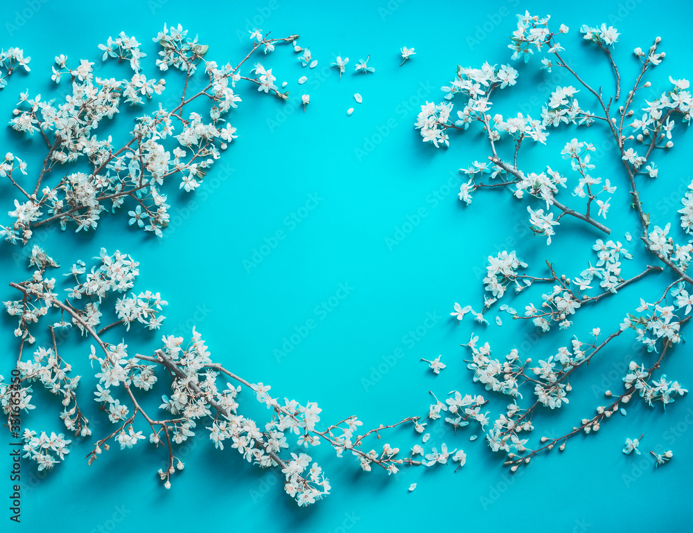 Beautiful cherry blossom frame on turquoise background, top view. Springtime concept Beautiful cherry blossom frame on turquoise background, top view. Springtime concept
