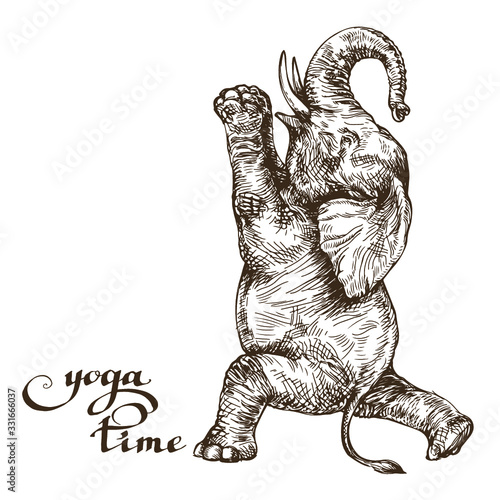 Elephant meditates time yoga style engraving sketch vector