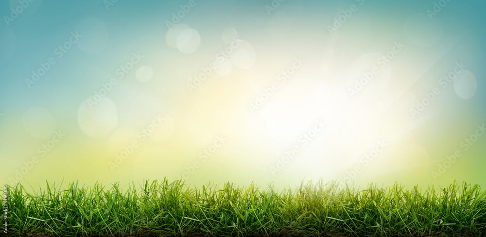 A sunny spring Easter morning sunrise background with a fresh green grass foreground.