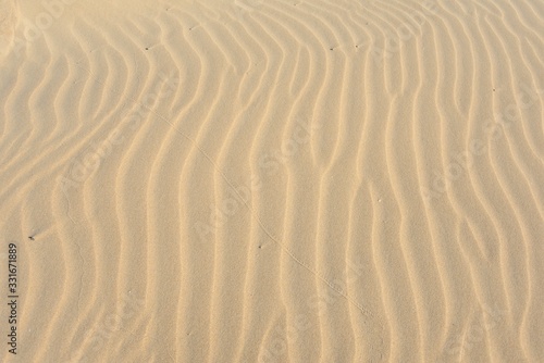 Textura de ondas regulares sobre la arena