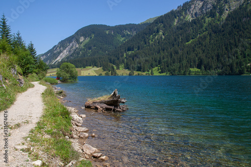Hiking trail on the Visalpsee in Austria with clear blue water a root in the lake and mountains and alpine pastures to the lake shore