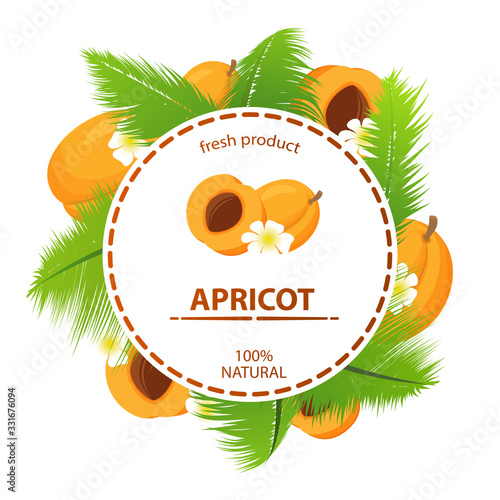 Circle label apricot tropical fruit  palm leaves  fresh product 100% natural. Concept banner cosmetics, drinks, food for vegetarians or perfumes. Realistic illustration vector. 