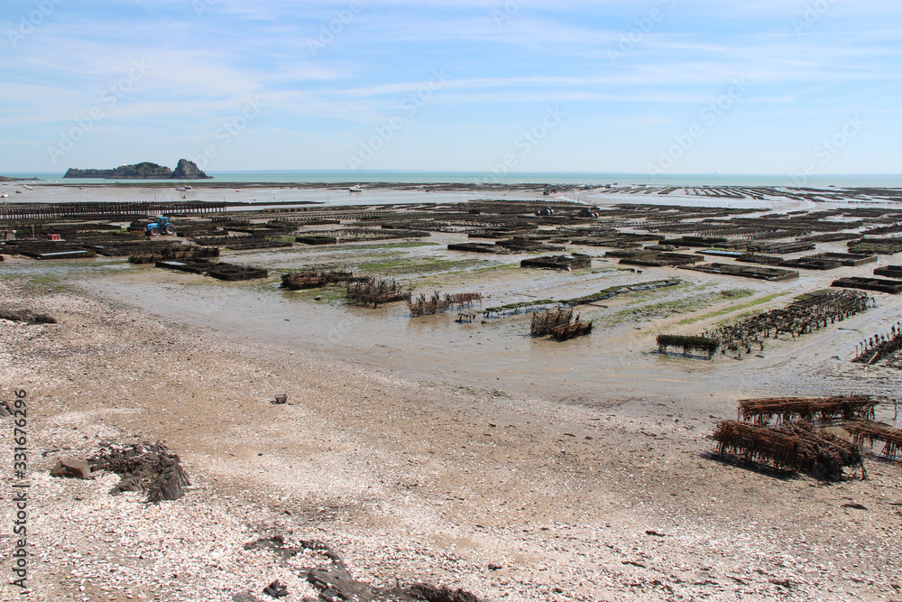 Obraz premium oyster farm in cancale (brittany) in france 