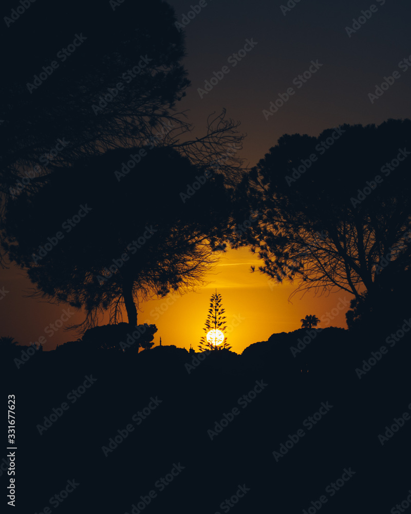 Dramatic sunset in the country side of Portugal with tree silhouettes