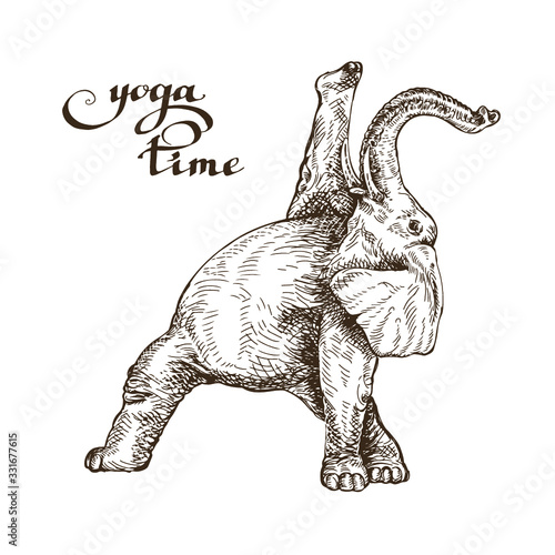 Elephant meditates doing exercises gymnastics time yoga style engraving sketch vector