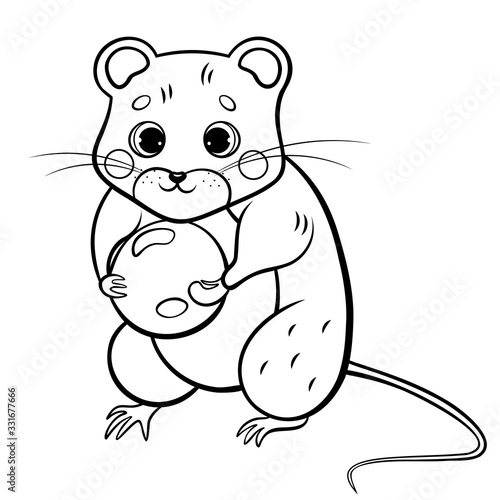 Coloring page outline of cute cartoon forest vole or mouse. Vector image isolated on white background. Coloring book of forest wild animals for kids
