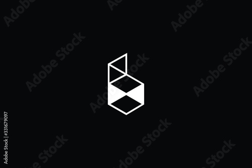 Minimal elegant monogram art logo. Outstanding professional trendy awesome artistic B BB initial based Alphabet icon logo. Premium Business logo in White color on black background