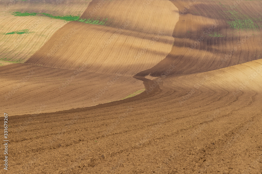 Naklejka premium Beautiful rolling landscape of Moravian Tuscany near Mistrin in the Czech Republic. You can see the fields and meadows on which the grain begins to green.