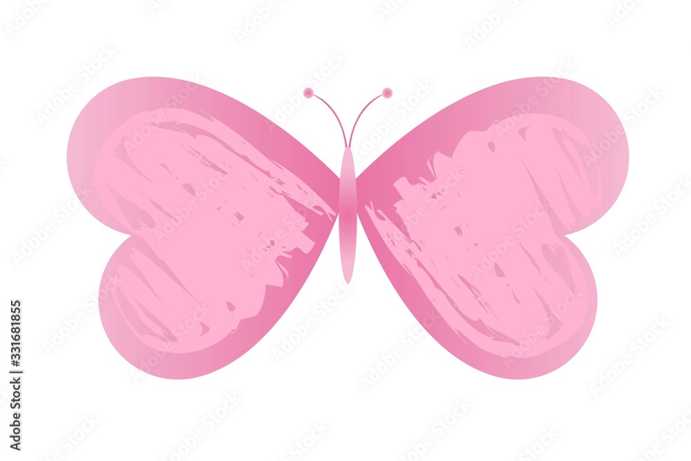 butterfly isolated on white background butterfly isolated on white background