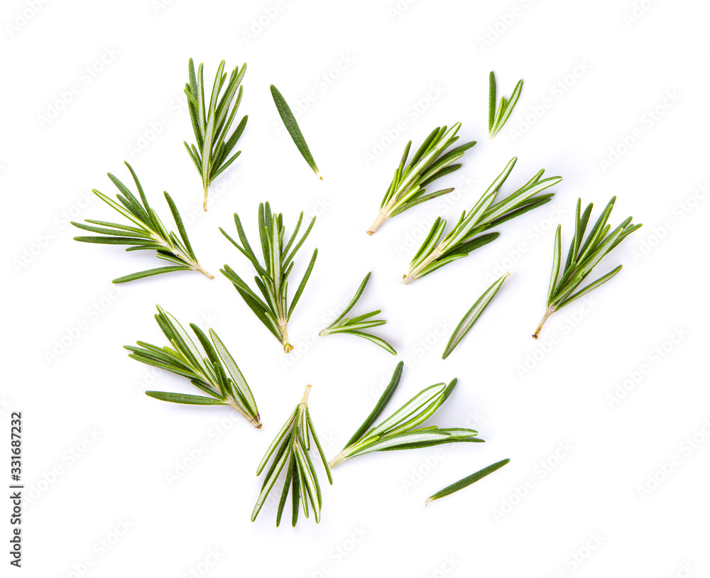 Fototapeta premium fresh rosemary isolated on white background