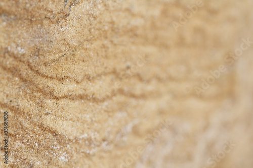 The background of the pattern on the cement floor.