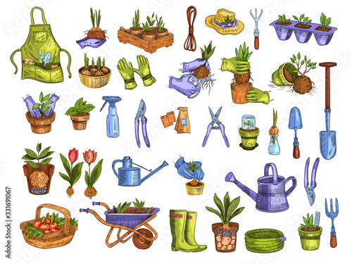Vector stock set with gardening equipment and tools, plants in pots, seedlings, rubber boots, wheelbarrow. Design elements in engraving style in color. Isolated on white. 