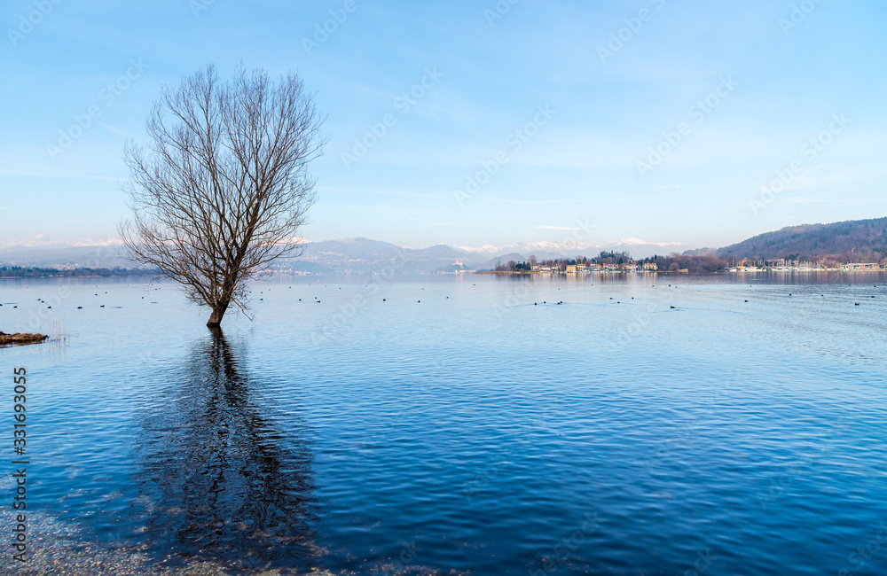 Landscape of Cicognola beach between Lake Maggiore and the Ticino river in Castelletto sopra Ticino, Italy Landscape of Cicognola beach between Lake Maggiore and the Ticino river in Castelletto sopra Ticino, Italy