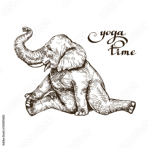 Elephant meditates doing stretching gymnastics time yoga style engraving sketch vector