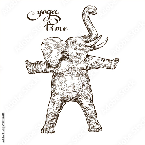 Elephant meditates doing gymnastics time yoga style engraving sketch vector