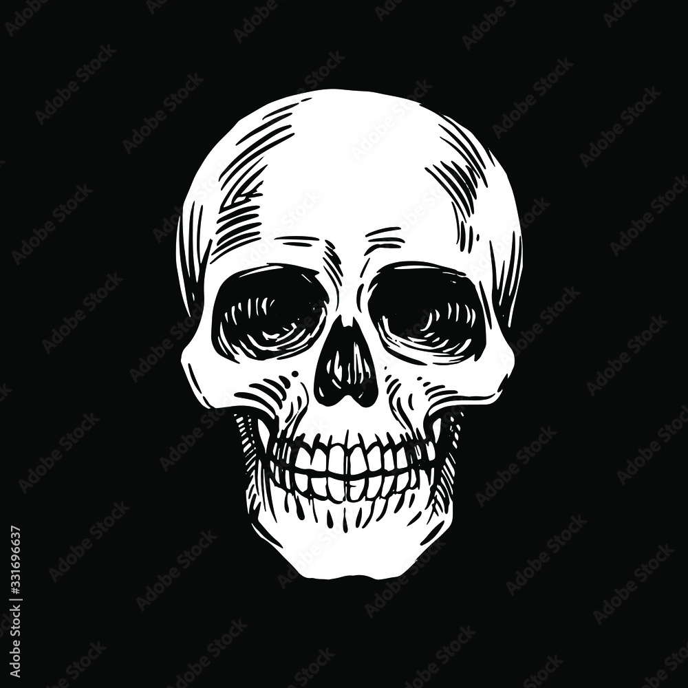 Obraz premium Skull ink drawn. Black and white Stock vector illustration
