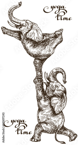 Two elephants doing acrobatics gymnastics time yoga style engraving vector sketch