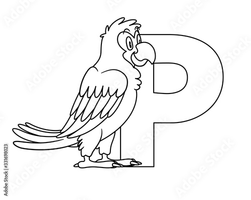 animal alphabet. capital letter P, Parrot. Raster illustration. For pre school education, kindergarten and foreign language learning for kids and children. Coloring page and books, zoo topic.