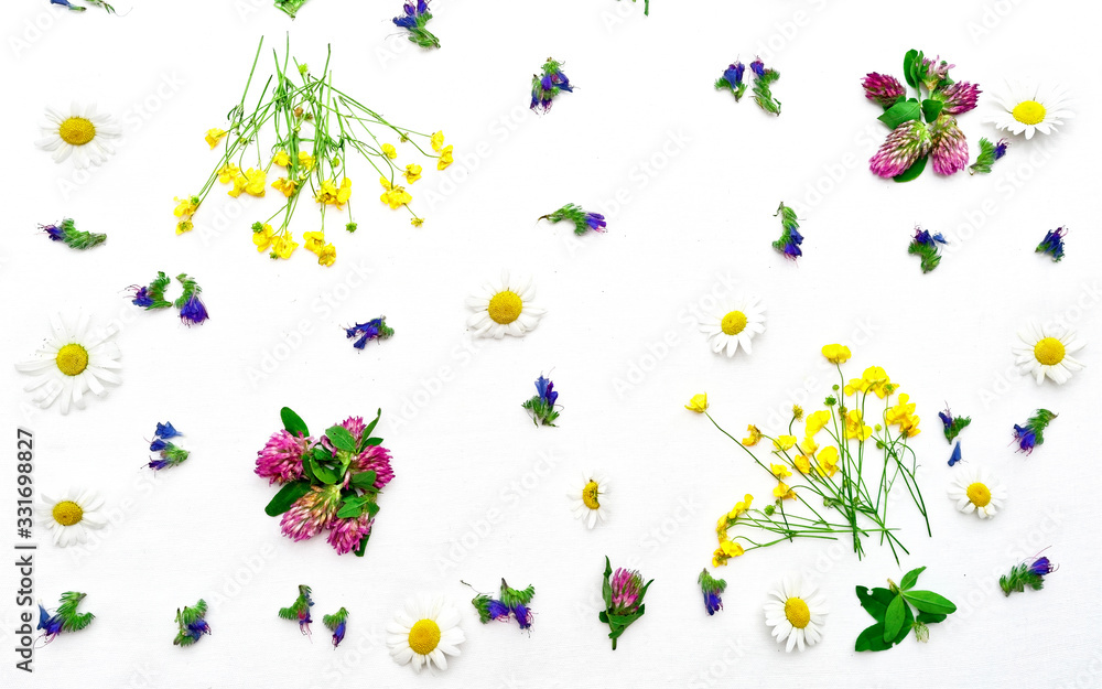 Frame with ranunculus clover chamomile and field flowers on white Frame with ranunculus clover chamomile and field flowers on white