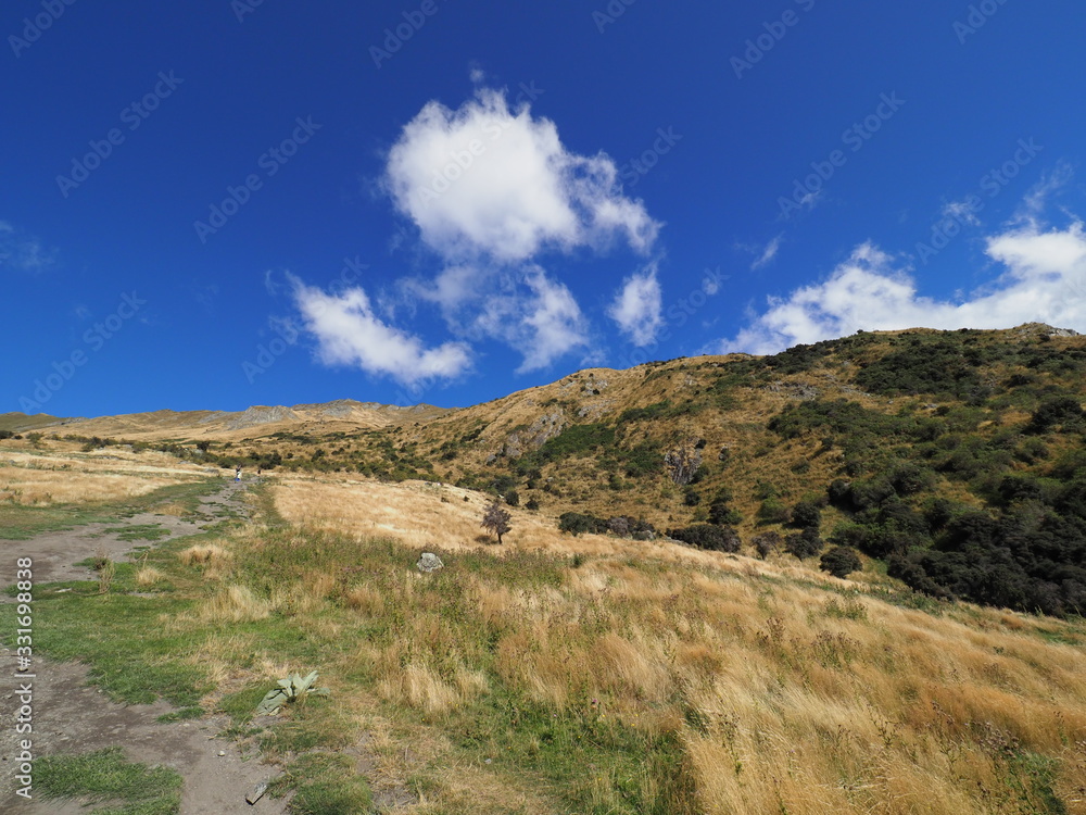 SCENERY OF NEW ZEALAND (WANAKA)