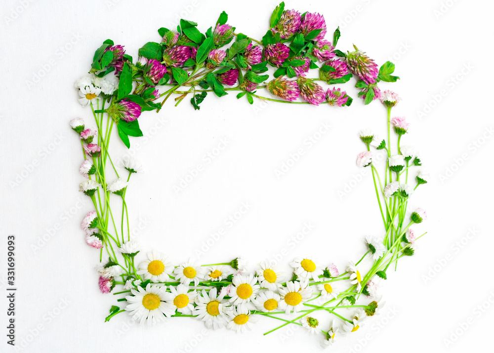 Wreath of clover and chamomile and daisy on white