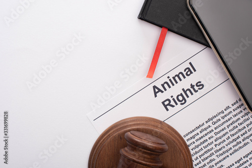 top view of animal rights inscription, black notebooks, smartphone and judge gavel on white background