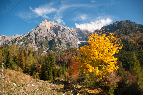 der hochk  nig im pinzgau pongau salzburg im bunten herbst von hinterthal aus gesehen  hochk  nig austrian alps in colourful fall  indian summer