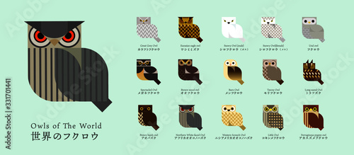Owls of the World Icon