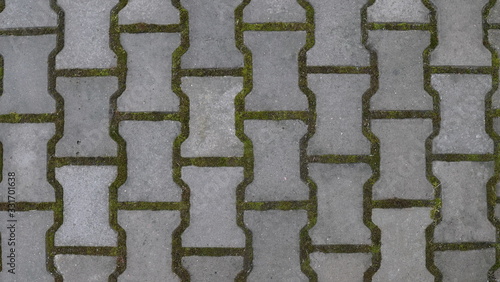 Gray concrete paving slabs with green moss in the cracks top view. Texture.