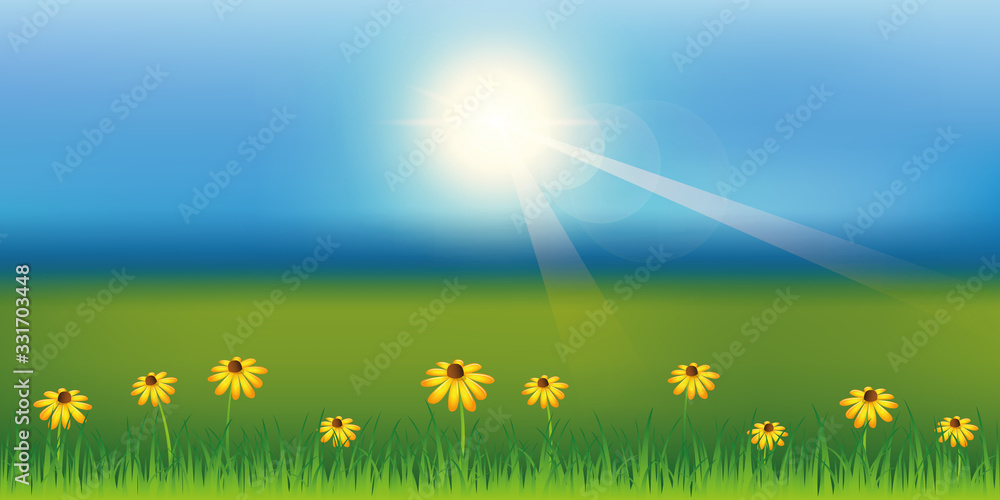 sunny spring background with daisy flower on green meadow vector illustration EPS10