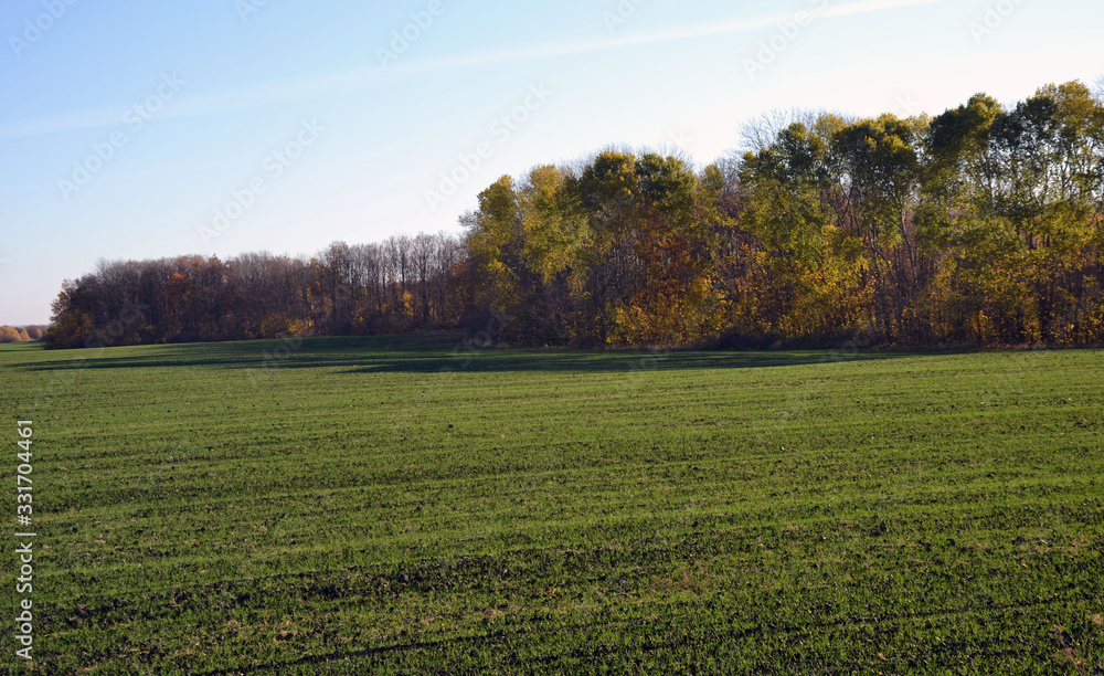 Fototapeta premium landscape, nature, spring
