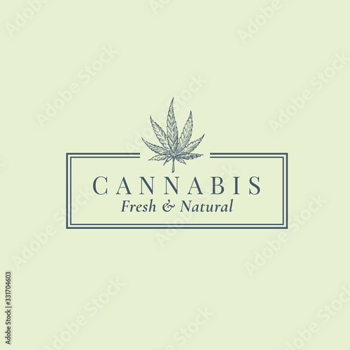 Premium Quality Cannabis Abstract Vector Sign, Symbol or Logo Template. Hand Drawn Green Hemp Leaf Sketch Sillhouette with Retro Typography in a Frame. Vintage Luxury Medicine Herb Emblem.