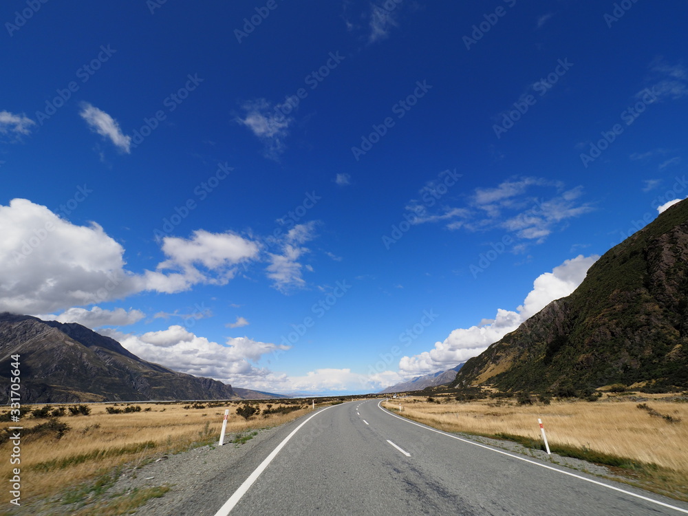 Naklejka premium OLYMPUS DIGITAL CAMERA