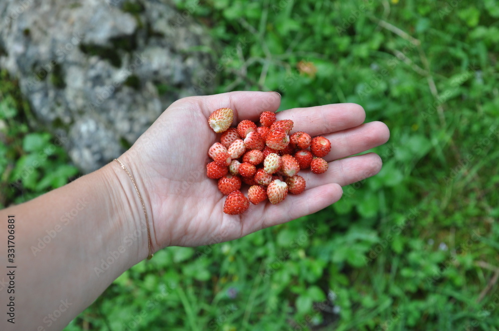 handful of berries handful of berries