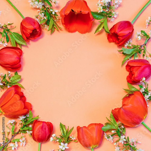Circle frame made of colorful red tulips and cherry blossom twigs on peachy paper background. Beautiful spring layout. Floral mock up for greeting card. Flat lay, top view, copy space for text