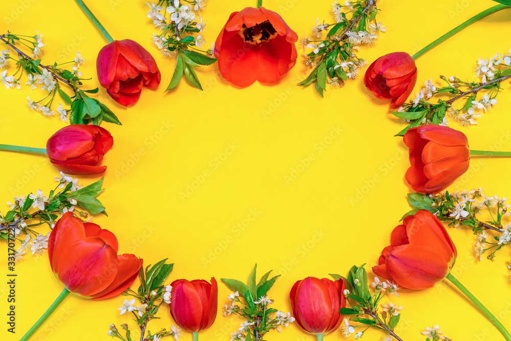 Oval frame made of colorful red tulips and cherry blossom twigs on bright yellow paper background. Beautiful spring layout. Floral mock up for greeting card. Flat lay, top view, copy space for text