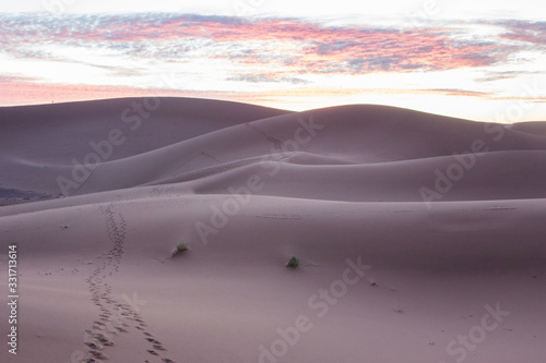 Dune al tramonto