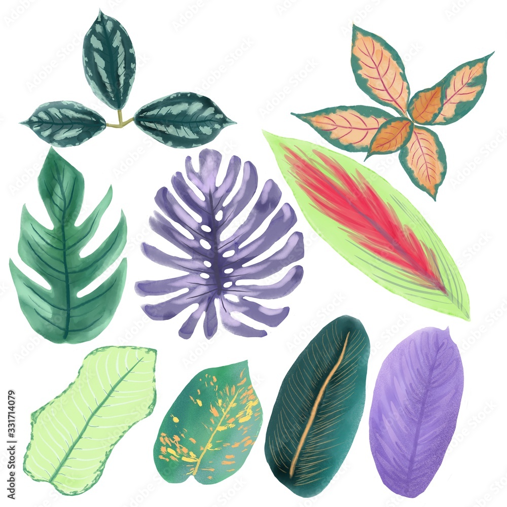Hand drawn collection of tropical leaves Hand drawn collection of tropical leaves
