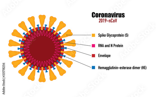 Coronavirus 2019-nCoV. Corona virus icon. Full Color Coronavirus in white background isolated. China pathogen respiratory infection (asian flu outbreak). influenza pandemic. 
