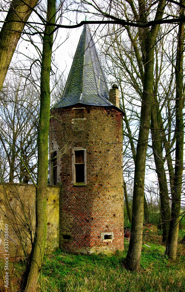 Burg, Schloss, Gemäuer, alt, Ruine